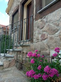 357488070_245179794931463_7711056692334828330_n