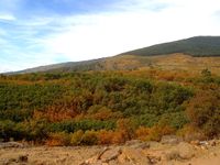 Camino de la Chorrera de San Mam&eacute;s